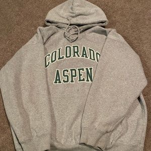 Brandy Melville Colorado Aspen hoodie